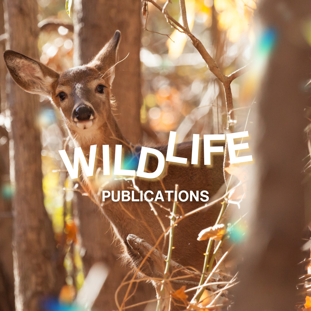 Wildlife Publications Photo