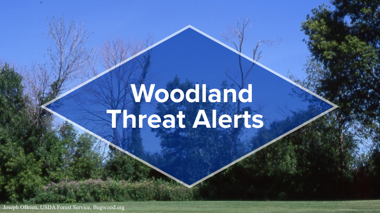 Woodland Threat Alerts 