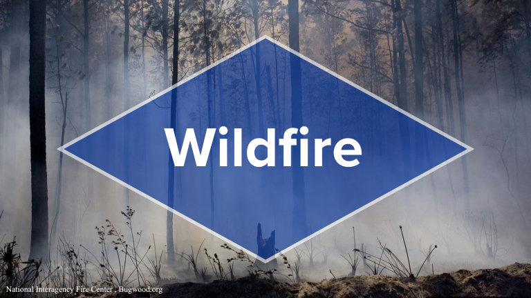 Wildfire 